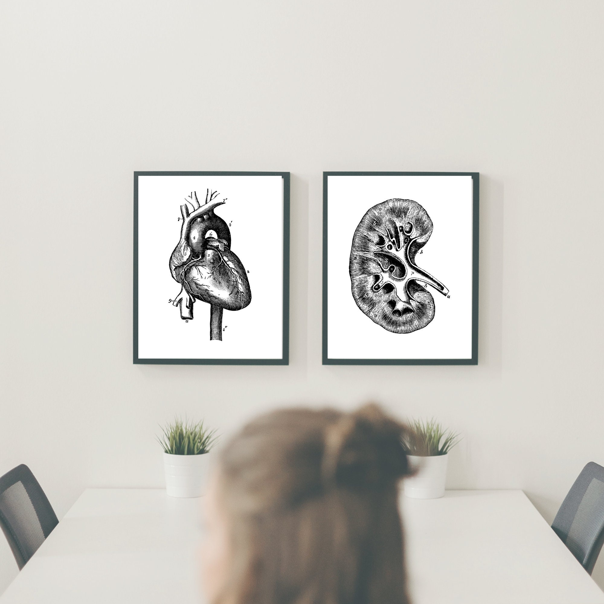 Human Vintage Anatomy Wall Art Print Set of 10 Digital Art - Etsy