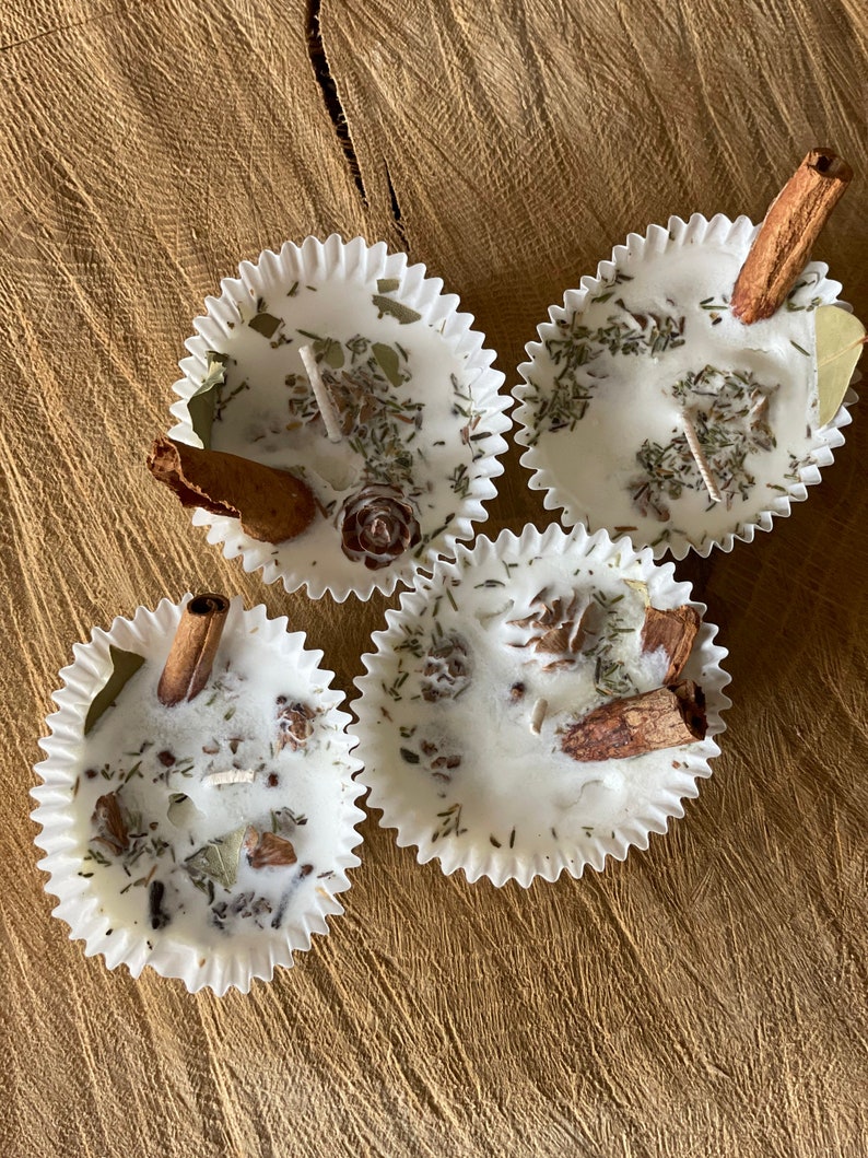 Roasted Pinecone Scented Fire Starter Gift for Camping Set of Etsy