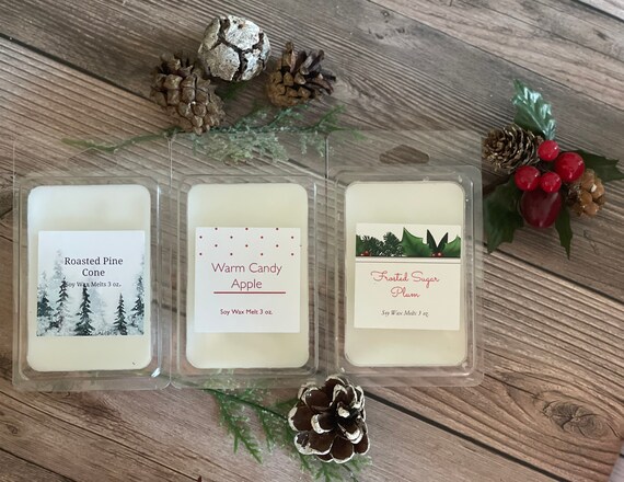 Winter Wonderland Infusion: All-natural Wax Melts With Festive Fragrances,  Hand Poured Soy Wax Melts, Winter Scents, Balsam Wax Melts 