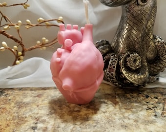 Anatomical Heart Shaped Novelty Candle, Unique Realistic Heart  Candle,  Scented Candle, Home Decor