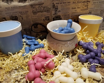 Fun Penis Wax Melts,  Hyper Scented Soy Wax Melts, Fragrant Novelty Gift,  Willy Wax Melts, Box of Cocks, Bag of Dicks