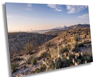 Puede incluir: Una vista panorámica de un paisaje desértico con un cielo azul y nubes blancas. En primer plano, se puede ver una variedad de cactus y plantas del desierto. En el fondo, se puede ver una cadena montañosa en la distancia.