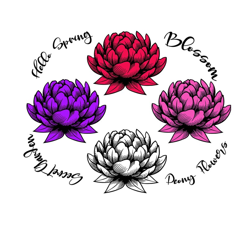 Free Free 237 Flower Garden Svg Free SVG PNG EPS DXF File