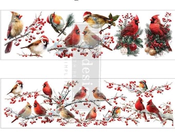 Hollywing Cardinal Luxe Transfer - Redesign with Prima
