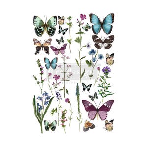 Butterfly Oasis Transfer - Rub On Furniture Transfer - Redesign with Prima Decor Transfer