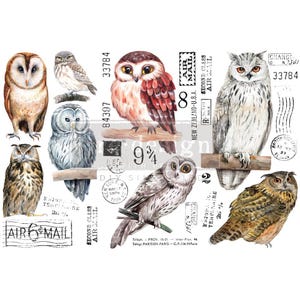 May include: A digital collage sheet featuring various owl illustrations. The owls are depicted in different poses and colors, including brown, gray, and white. The sheet also includes vintage-style stamps with text such as "Air Mail" and "New Zealand-U.S.A."