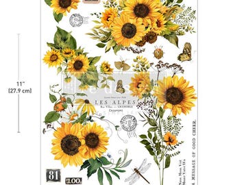 Rustic Amber Petals - H2O Middy Transfer - Redesign with Prima