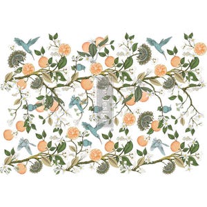 Orange Grove Furniture Transfer - Rub On Decor Transfer by Redesign with Prima 24&quot;x 35&quot;