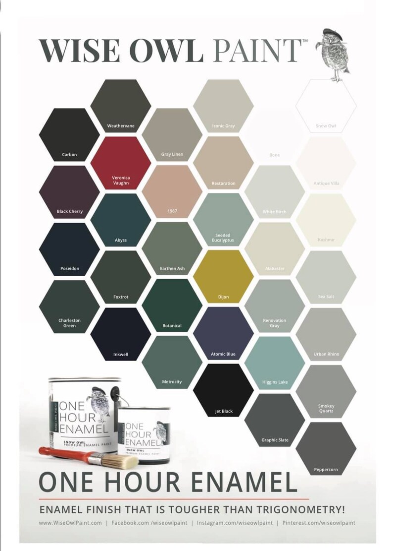 Puede incluir: Una carta de colores de pintura One Hour Enamel de Wise Owl Paint. La carta presenta 24 colores de pintura dispuestos en forma de panal. Los colores van del negro profundo al gris claro. La carta tambi&eacute;n incluye el logotipo de Wise Owl Paint y el texto "One Hour Enamel" y "Enamel Finish That Is Tougher Than Trigonometry!"