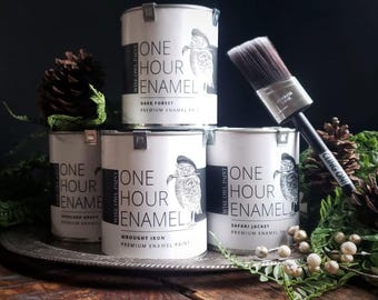 One Hour Enamel - Wise Owl Paint - Refinish Furniture and Cabinets