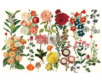 May include: A collection of vintage floral illustrations featuring various flowers in shades of red, pink, yellow, blue, and white. The flowers are arranged in a collage style, with some overlapping and others separated by a white background.