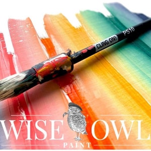 Puede incluir: Un pincel con las palabras "CLING ON! PS10" en el mango, descansando sobre una muestra de pintura de colores arco&iacute;ris. La muestra de pintura est&aacute; sobre una superficie blanca. Las palabras "WISE OWL PAINT" son visibles debajo de la muestra de pintura.