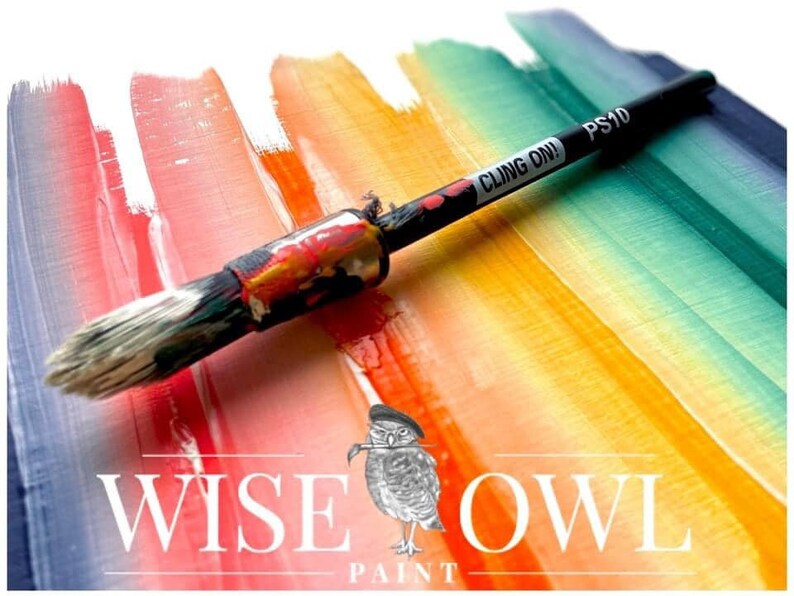 Puede incluir: Un pincel con las palabras "CLING ON! PS10" en el mango, descansando sobre una muestra de pintura de colores arco&iacute;ris. La muestra de pintura est&aacute; sobre una superficie blanca. Las palabras "WISE OWL PAINT" son visibles debajo de la muestra de pintura.