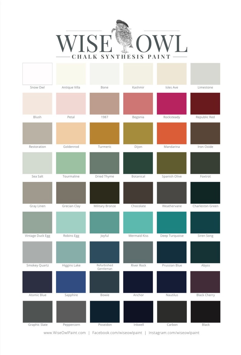Puede incluir: Una carta de colores que muestra 36 colores de pintura diferentes de Wise Owl Chalk Synthesis Paint. Los colores est&aacute;n dispuestos en filas y columnas, con los nombres de cada color enumerados debajo de cada muestra.