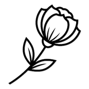 May include: A black and white line drawing of a flower with a stem and two leaves. The flower has multiple petals and is in full bloom. The image is on a white background.