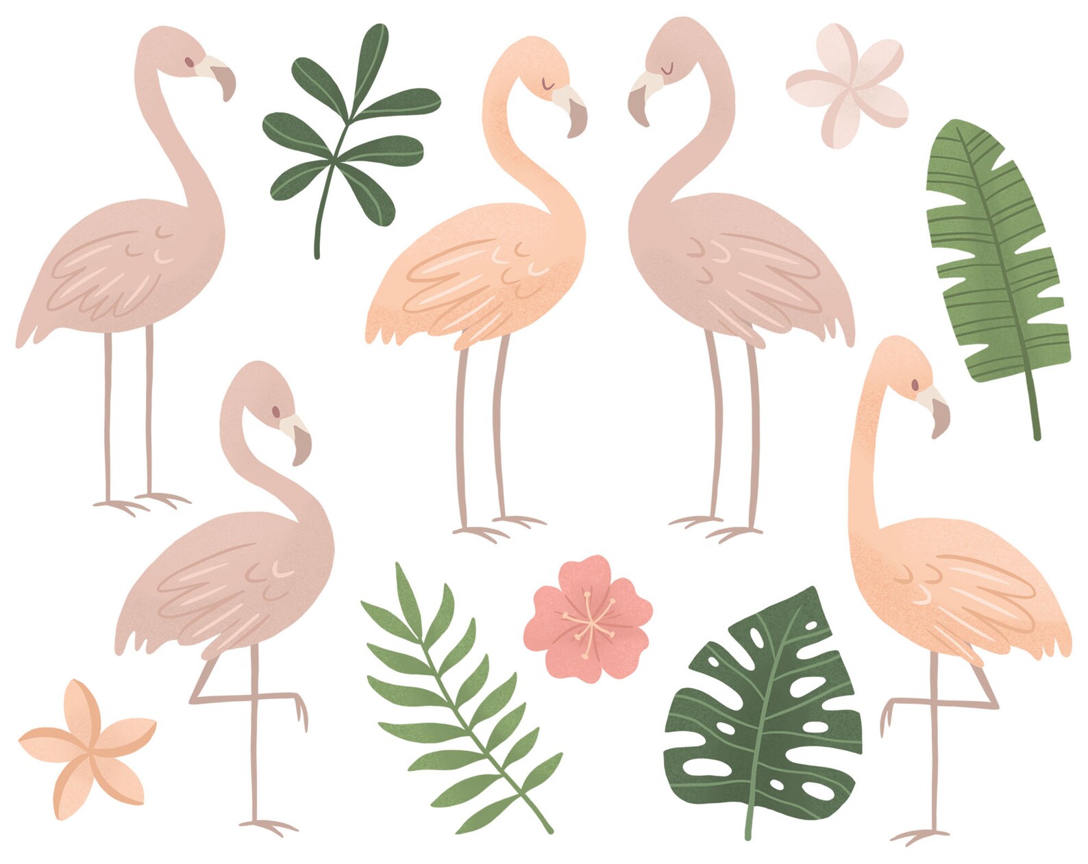 Flamingo clipart. Tropical flower and leaves png clipart | Etsy
