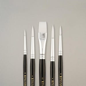 May include: A collection of five paint brushes with white bristles and black handles. The brushes have silver ferrules and the brand name "ProArte" is printed on the handles. The brush tips vary in shape, including round and flat.