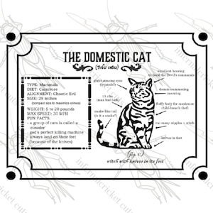 Heksen met messen in hun voeten - OFMD - Onze vlag betekent dood - Gentlebeard - SVG - Frenchie - Digitaal - Piraat - Katten - Kitten - Mes