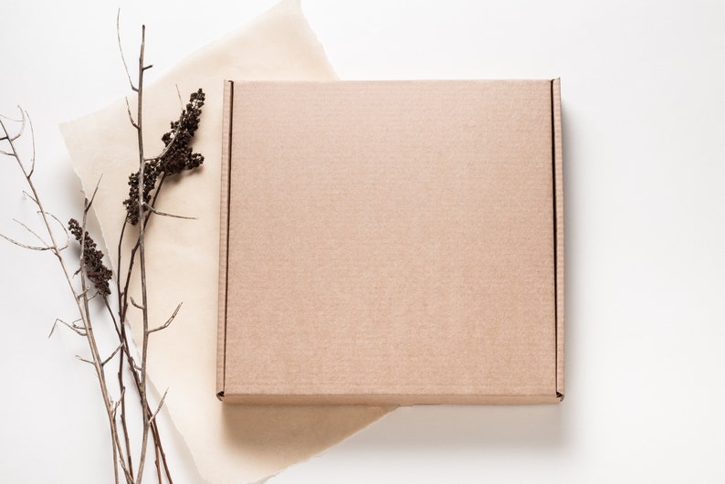 Puede incluir: Una caja de env&iacute;o cuadrada de cart&oacute;n marr&oacute;n claro con una tapa plana y cerrada. La caja est&aacute; colocada junto a un trozo de papel pergamino de color beige claro y una rama seca de color marr&oacute;n oscuro con peque&ntilde;as vainas texturizadas.
