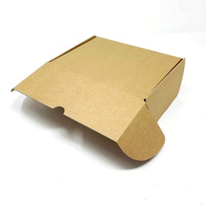 May include: A square cardboard shipping box made of light brown kraft paper. The box features a hinged lid with a front flap that includes a small semi-circular cutout for easy opening and two side tabs that fold inward to secure the lid closed.