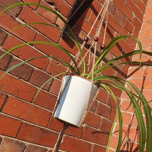 May include: A white ceramic pot with a green plant hanging from a macrame plant hanger with brown wooden beads. The plant hanger is attached to a brick wall.