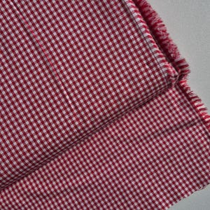 May include: A folded piece of red and white checkered fabric. The fabric has a classic gingham pattern, with small, evenly spaced squares. The edges of the fabric are frayed, suggesting a raw or unfinished state. The fabric is likely cotton or a similar material.