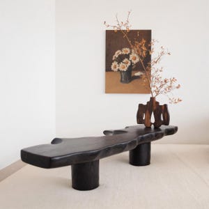 Sculptural Charred Wood Bench with Organic Form for Modern Art Interiors and Gallery Style Home Decor