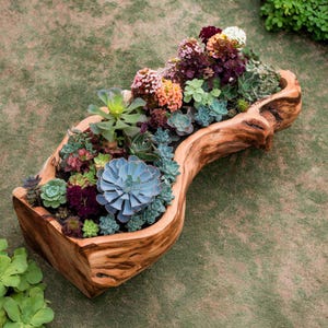 Natural Wood Planter For Succulents, Flowers And Outdoor Decor, Perfect For Bringing Nature To Compact Spaces With Timeless Rustic Charm.
