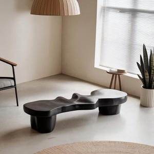 Contemporary Sculptural Wood Bench Organic Shape Minimalist Black Seating for Modern Living Room or Gallery Accent