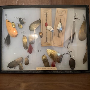 May include: A display of vintage fishing lures in a shadow box. The lures are in various shapes and colours, including gold, silver, and copper. Some have feathers or other embellishments. The box has a black frame and the text "NORTHERN SPECIALTY".