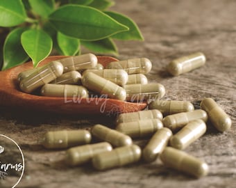 Sarsaparilla Root Capsules