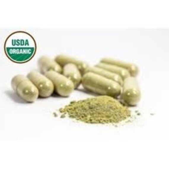 Fennel Seed Capsules Etsy