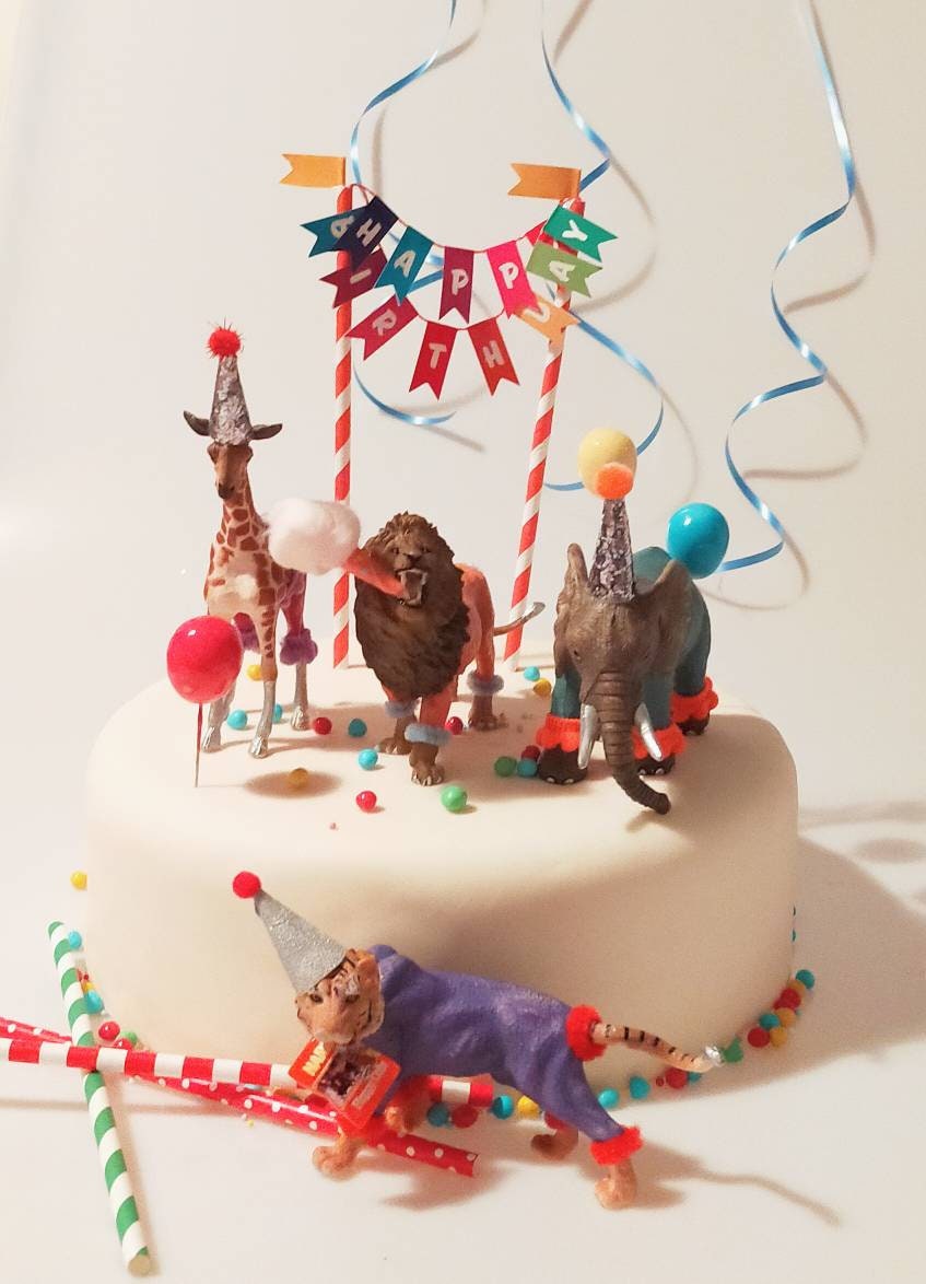 Kuchendekoration Cake Topper Party Dekoration PartyTier | Etsy