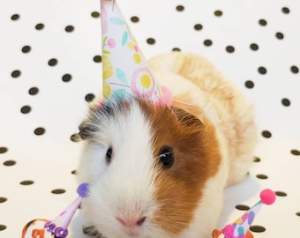 Pet Party Hats | Pet Accessories | Dog Party | Pet Decoration | pawty time | Pet Party Decoration  | Mini Party Hats | Party Animal Hats
