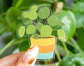 Pilea Plant Translucent Vinyl Sticker Hidden Mickey Disney Inspired Waterproof Sticker Pilea Peperomiodes Friendship Plant