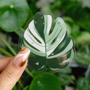 Bunte Monstera Aufkleber | Lichtdurchlässiges Vinyl, versteckter Micky