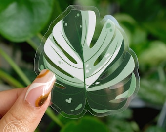 Variegated Monstera Plant Translucent Vinyl Sticker | Hidden Mickey Sticker | Leaf Sticker | Disney Inspired Sticker | Plants