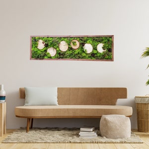 Moss Art, PreserveMoss Wall Art,  Rustic succulents moss wall decor