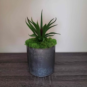 Décor de fausses plantes, Fausse succulente dans jardinière en métal galvanisé, Arrangement de plantes succulentes artificielles, Accent floral de ferme