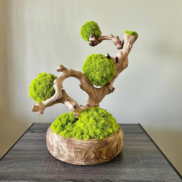 Moss Centerpiece Etsy