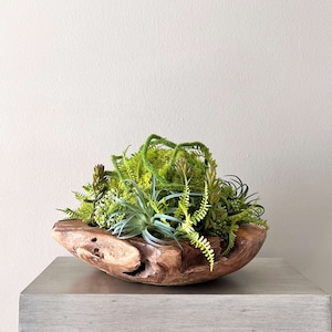 May include: A wooden bowl filled with a variety of green plants, including succulents, ferns, and moss. The bowl is sitting on a light gray surface.