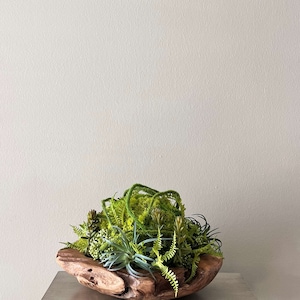 May include: A wooden bowl filled with a variety of green plants, including succulents and ferns. The bowl is sitting on a light gray surface.