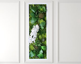 Orchid Wall Art, Faux Succulents Moss Art, White/black/gold Frames