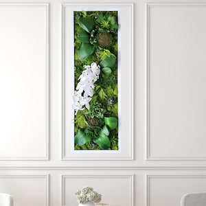 Orchideen-Wandkunst, künstliche Sukkulenten-Moos-Kunst, Weiß / Schwarz / Goldrahmen, konserviertes Moos