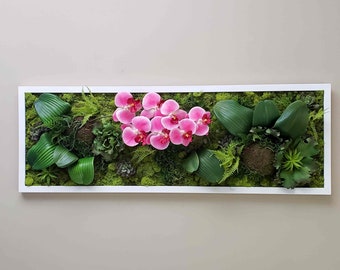 Succulent moss wall art, Orchid wall art, Large preserved moss art, White/Black/Gold Frames