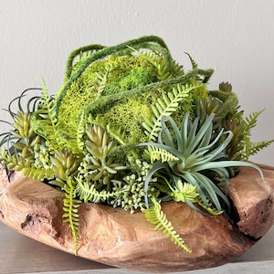 May include: A wooden bowl filled with a variety of green plants, including succulents, ferns, and moss.