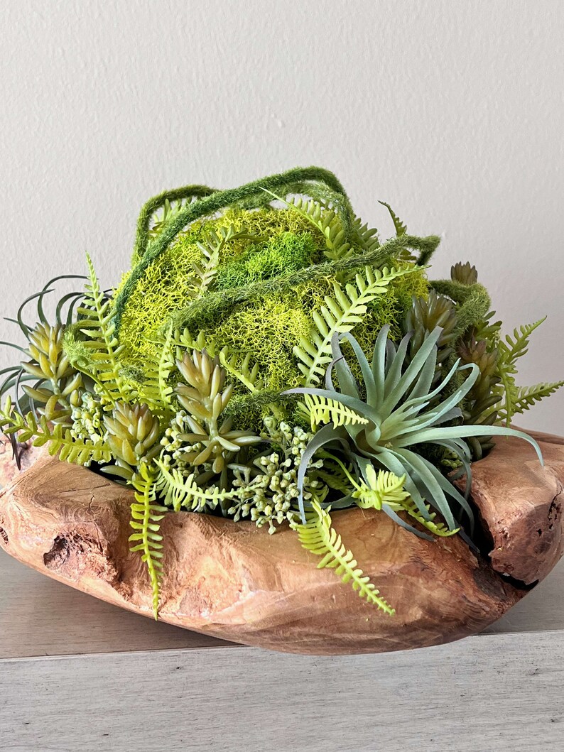 May include: A wooden bowl filled with a variety of green plants, including succulents, ferns, and moss.