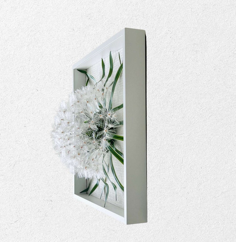May include: A white framed wall art piece featuring a preserved dandelion with green leaves. The dandelion is in full bloom and the leaves are arranged around the flower.