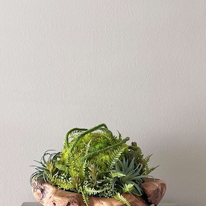 May include: A wooden bowl filled with a variety of green succulents and moss. The bowl is made of natural wood and has a rustic, organic look.