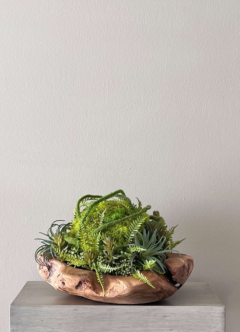 May include: A wooden bowl filled with a variety of green succulents and moss. The bowl is made of natural wood and has a rustic, organic look.